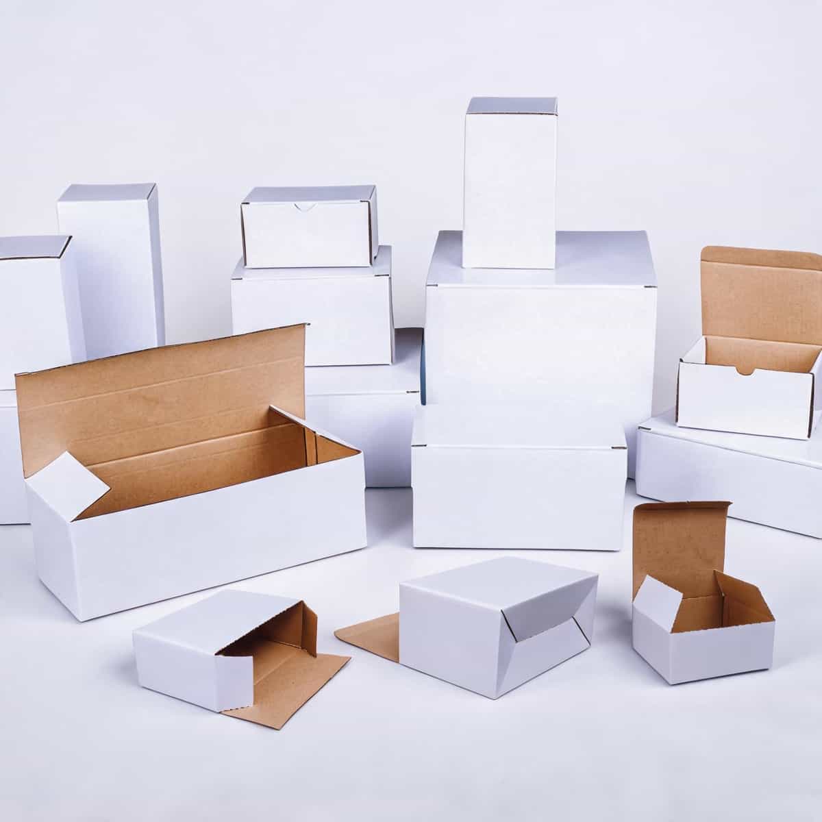 Custom Printed Corrugated Retail Box — Window, Partition & Display Formats