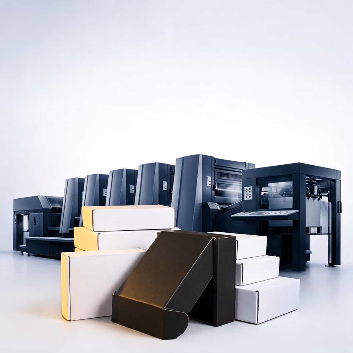 Custom Printed Corrugated Retail Box — Window, Partition & Display Formats